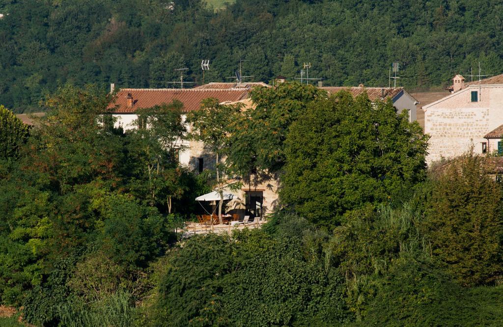 Il Sogno Di Tino Villa Cabernardi Bagian luar foto