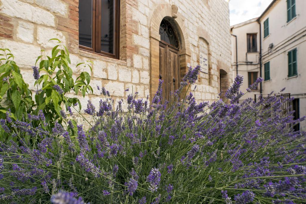 Il Sogno Di Tino Villa Cabernardi Bagian luar foto